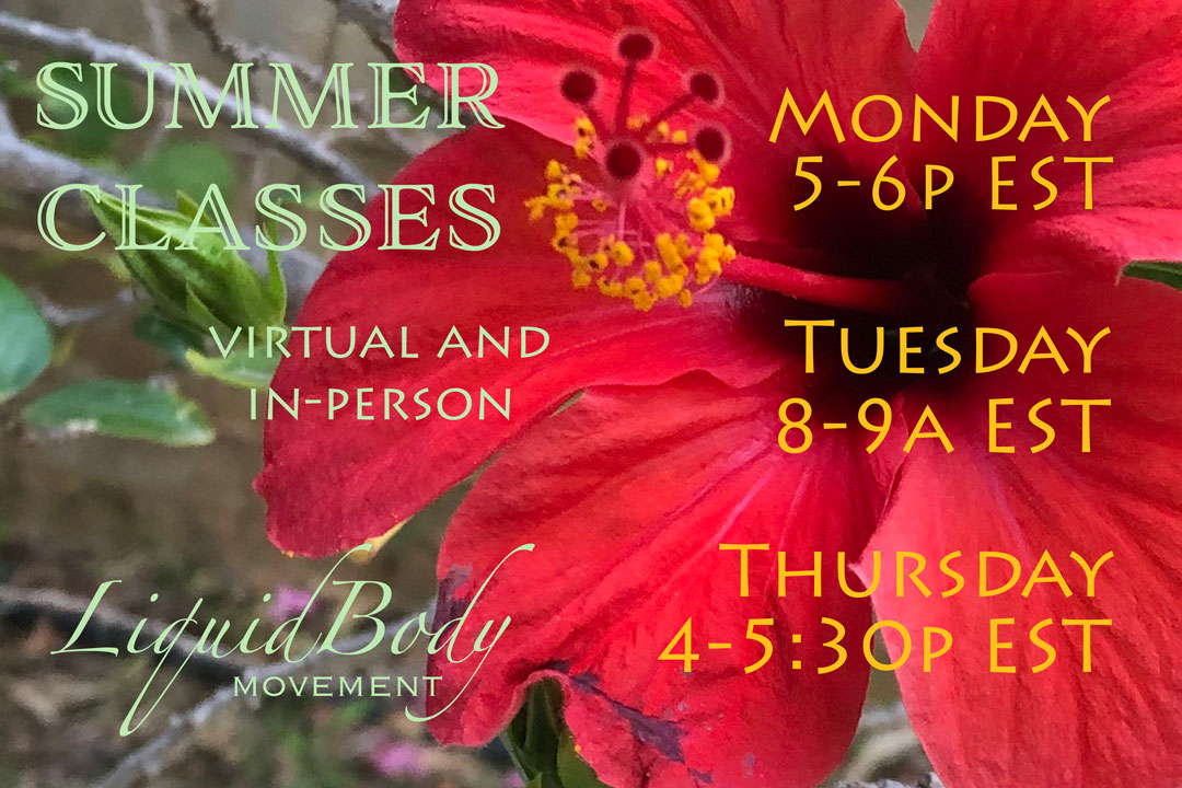 Ongoing Summer 2019 Classes